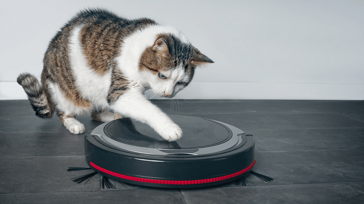 robot vacuum safe for cats