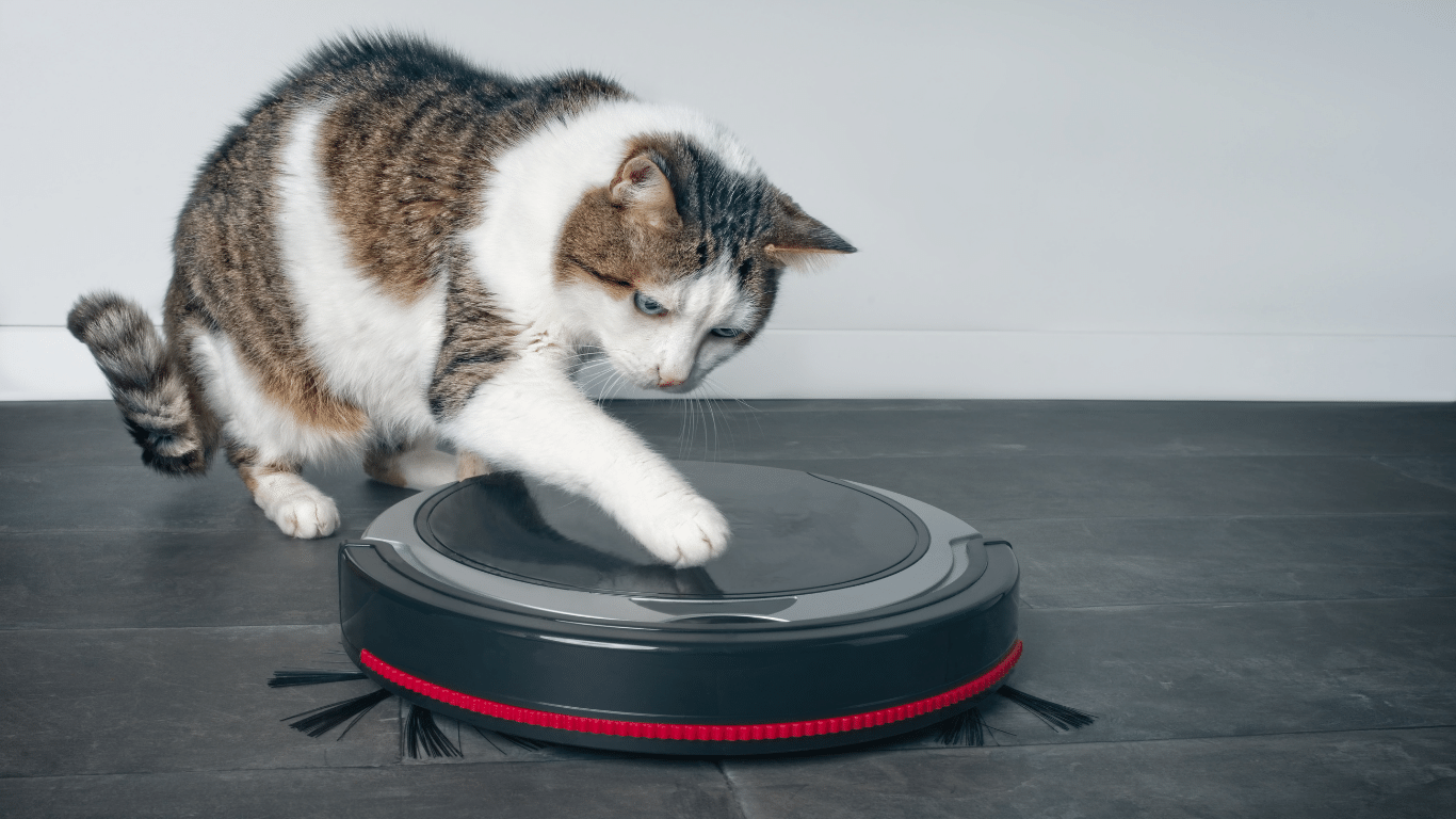 robot vacuum safe for cats